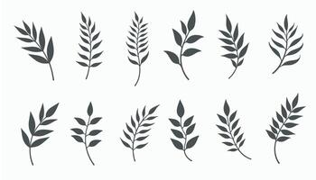 A simple yet elegant collection of black leaf shapes in silhouette form. vector