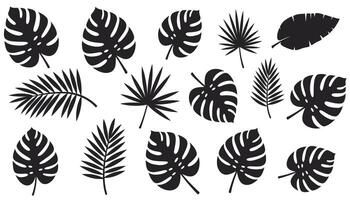 A structured set of black leaf symbols, each carefully designed in silhouette. vector