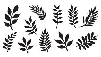 A compilation of various black leaf shapes in silhouette form. vector