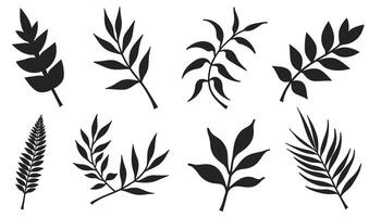 A group of different leaf silhouettes designed in a bold black color. vector