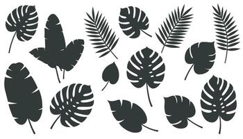 A series of black leaf silhouettes varying in shape and size. vector