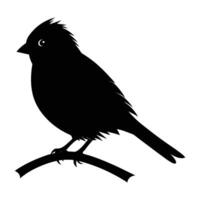 Charming canary perched on a branch with slightly ruffled feathers in isolated line art silhouette vector
