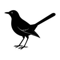 Minimalist mockingbird perched calmly with beak ajar on a quiet limb vector