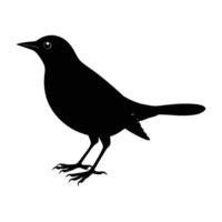 Vivid blackbird standing with beak pointed forward in sleek silhouette vector