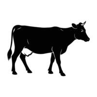 Calm dairy cow walking with a slightly raised tail in subtle silhouette vector
