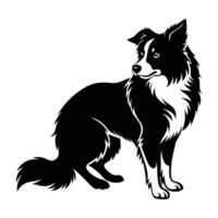 Alert border collie crouching in herding position captured in isolated line art silhouette style vector