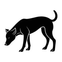 Curious dog exploring by sniffing the ground with head lowered on white background vector
