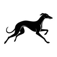 A fast greyhound sprinting at full speed with lean, extended limbs vector