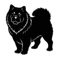 Stately chow chow displaying dense fur and proud stance in refined silhouette art vector