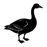 A proud gander confidently strutting with an impressive chest display vector