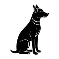 Loyal dog sits attentively looking forward with a focused gaze in view vector