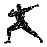 Dynamic martial artist executing a rapid move in clear silhouette form vector