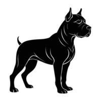 Formidable cane corso standing guard with a powerful stance in isolated line art silhouette design vector
