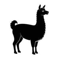 Llama stands proudly with its tail raised slightly in a poised stance vector