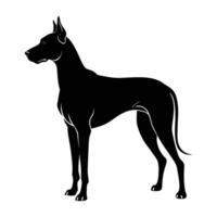 A refined great dane exuding strength and elegance with perfect posture vector