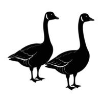 A charming pair of geese displaying elegant long necks in unity vector