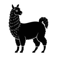 Graceful silhouette of alpaca striding with a soft fluffy coat on white background vector