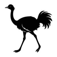 Minimalist ostrich dashing rapidly with extended legs in an open plain setting vector