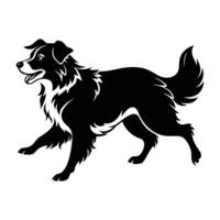 Vigorous silhouette of an Australian shepherd in motion with a thick coat on white background vector