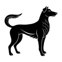 Happy dog standing with tail wagging energetically on white background vector