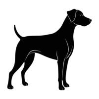 Graceful dog displaying floppy ears while standing calmly in isolated silhouette vector