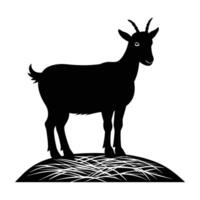 Graceful farm goat poised on a hay bale with a gentle head turn vector
