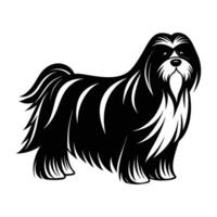 Lhasa Apso stands proudly with a long flowing coat in a noble stance vector
