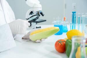 Scientist use magnifying glass to check physical occur from chemical on fruit and vegetable residues in laboratory. inspect the concentration of chemical residues, standard, find prohibited substances photo