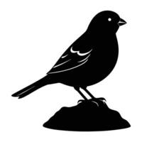 Delicate finch standing on a rock with a tiny beak in silhouette vector
