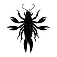 Mantis shrimp poses with powerful raised claws in a striking marine display vector