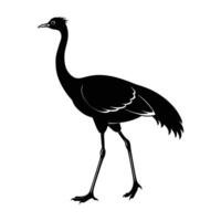 Graceful bustard walking with long legs and extended neck in isolated silhouette vector
