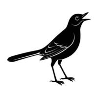 Minimalist mockingbird standing on branch with beak slightly open in gentle morning light vector