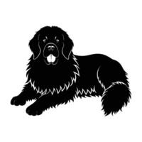 Minimalist newfoundland dog lying down peacefully with large fluffy paws visible vector