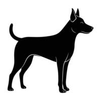 Confident farm dog standing with alert ears on white background in clean isolated silhouette art vector