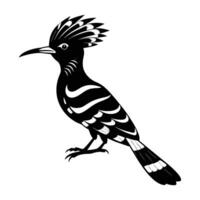 A striking hoopoe perched gracefully with its distinctive raised crest silhouette vector
