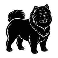 Elegant chow chow standing with a fluffy mane and curled tail in graceful silhouette vector