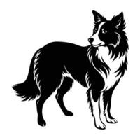 Intelligent border collie herding with head lowered in refined isolated line art silhouette composition vector