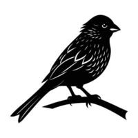 Delightful canary resting on a branch with ruffled feathers in isolated silhouette vector