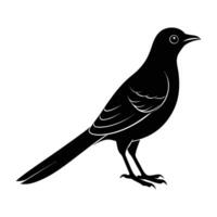 Charming cuckoo perched elegantly with a small beak and raised tail in silhouette vector