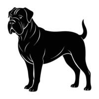 Sturdy dogue de bordeaux displaying firm stance with broad chest on white background vector