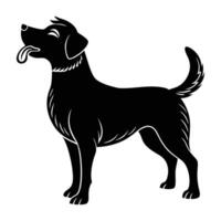 Curious dog standing with nose raised while sniffing the fresh air on white background vector