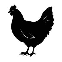 A charming hen displayed on a bright white background silhouette vector