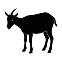 Minimalist nanny goat calmly grazing with a lowered head on green grass vector