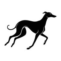 A swift greyhound dashing rapidly with perfectly stretched legs in motion vector