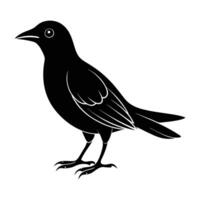 Distinct blackbird standing with beak pointed forward in refined silhouette vector