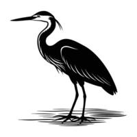 A dignified heron poised near water with a slender pointed beak silhouette vector