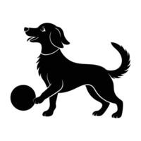 Cheerful dog interacting with a ball while softly touching its nose on white background vector