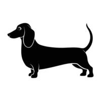 Active dachshund trotting with a long body and compact short legs in silhouette vector