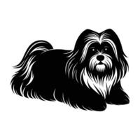 Lhasa Apso rests gracefully with long silky fur in a serene pose vector