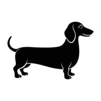 Charming dachshund standing with an elongated body and wagging tail in silhouette vector